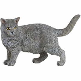 chartreux 54040