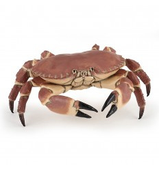 crabe 56047