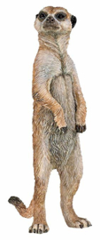 meerkat staand 50206