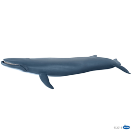 baleine bleue 56037