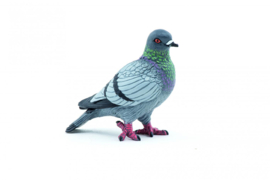 pigeon 50295
