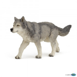 grijze wolf 53012