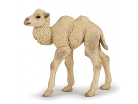 kameel kalf 50221