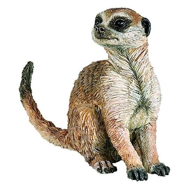 meerkat zittend 50207