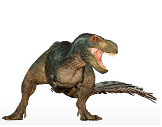 T-rex à plume 55102