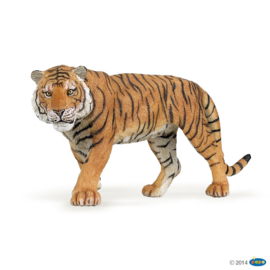 tijger 50004