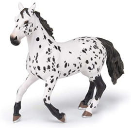 appaloosa XL 50199