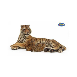 tijger liggend met pups 50156