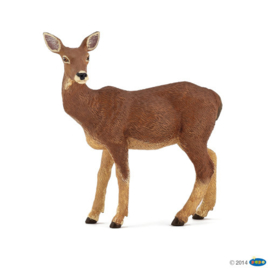 biche 53014