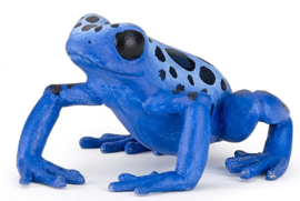 grenouille équatoriale bleue 50175