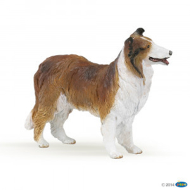 collie 30230