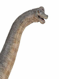 brachiosaurus 55030