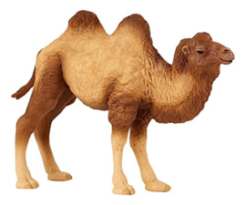 kameel 50129