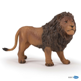 lion XL 50191