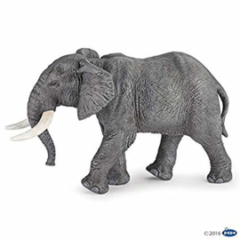 éléphant d'afrique 50192
