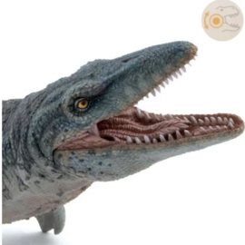 mosasaurus 55088