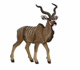 antilope koudou 50104