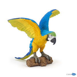 perroquet ara bleu 50235