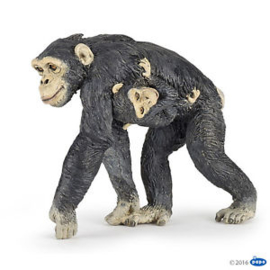 chimpansee met jong 50194