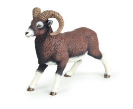 mouflon 53018