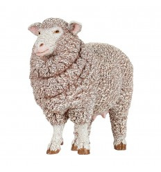 schaap mérinos 51175