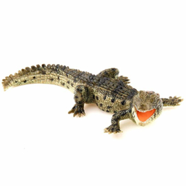 crocodile bébé 50137