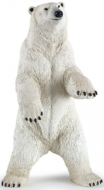 ijsbeer staand 50172