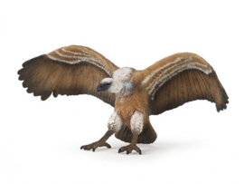 vautour 50168