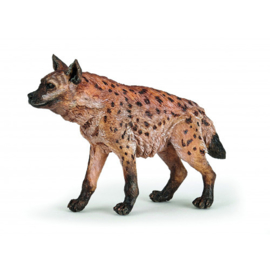 hyène 50252