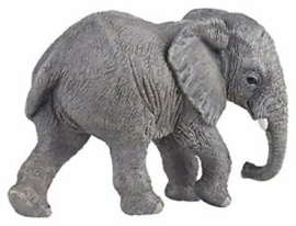 éléphant d'afrique jeune 50169