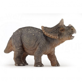 triceratops jong 55036