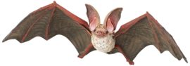 chauve-souris 50239