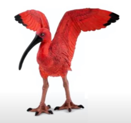 ibis rouge 50314