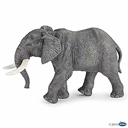 olifant Afrikaans 50192