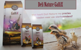 Deli Nature GalliX Ornamental Onderhoud Korrel ca. 20 kg