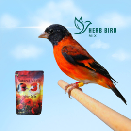 Herb Bird Mix Natural Magic Color Mix 150 gram