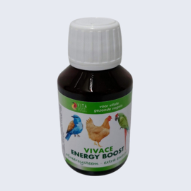 Vitavogel Vivace Energy Boost 100ml