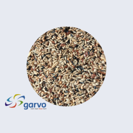 Garvo 5371 kanariezaad zonder raap ca. 2,5 kg