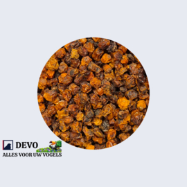 Devo Lijsterbessen gedroogd ca. 1 kg