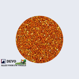Devo Panicum rood ca. 2,5 kg