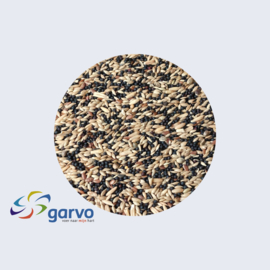 Garvo 5361 kanarie zoet standaard ca. 2,5 kg