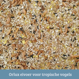 Orlux eivoer voor tropische vogels 1kg