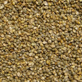 Beyers Japanse millet ca. 2,5kg