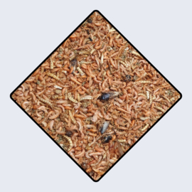 Deli Nature Insecten paté Tovo ca. 500 gram