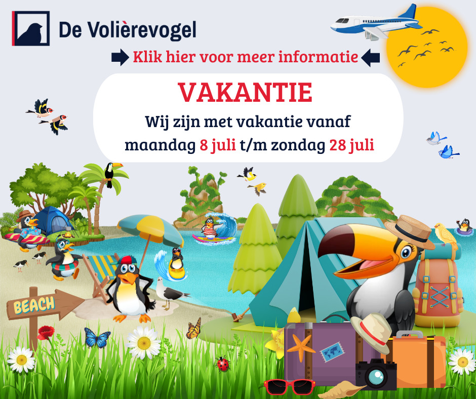 Zomervakantie 2024 (Klik hier voor meer informatie)