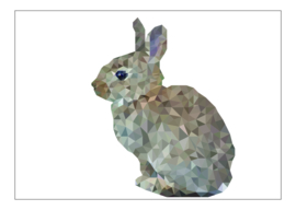 Ansichtkaart konijn A6 10 stuks (€7,52 ex btw)