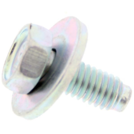 Bout met ring M6x15