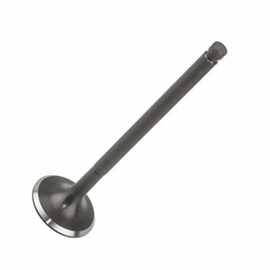 Uitlaat klep (blauw) 99-09