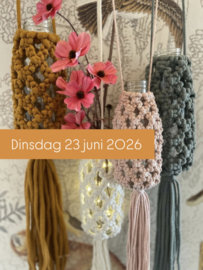 L A M P I O N - V A A S J E S dinsdag 23 juni 2026