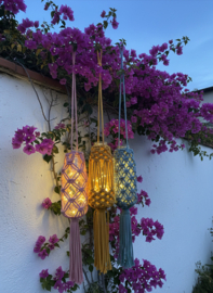 L A M P I O N - V A A S J E S  workshop 11 juni 2026